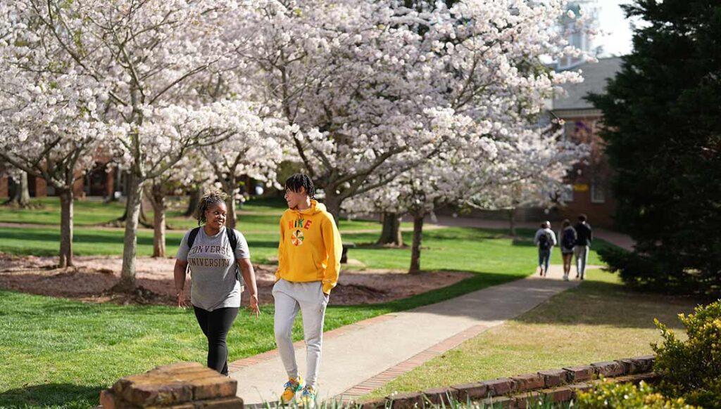 Multiple students walk on the Converse campus while a spring tree flowers in the background.